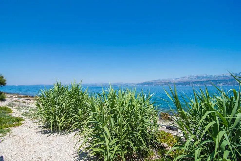 Ferienwohnung in Brac  999210251 38123