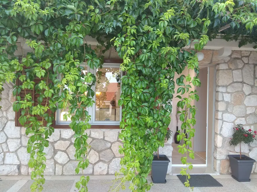 Ferienwohnung in Bol  999205202 33369 – Foto 35