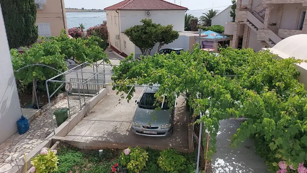 Ferienwohnung in Novalja haustiergeeignet 66155049 28260