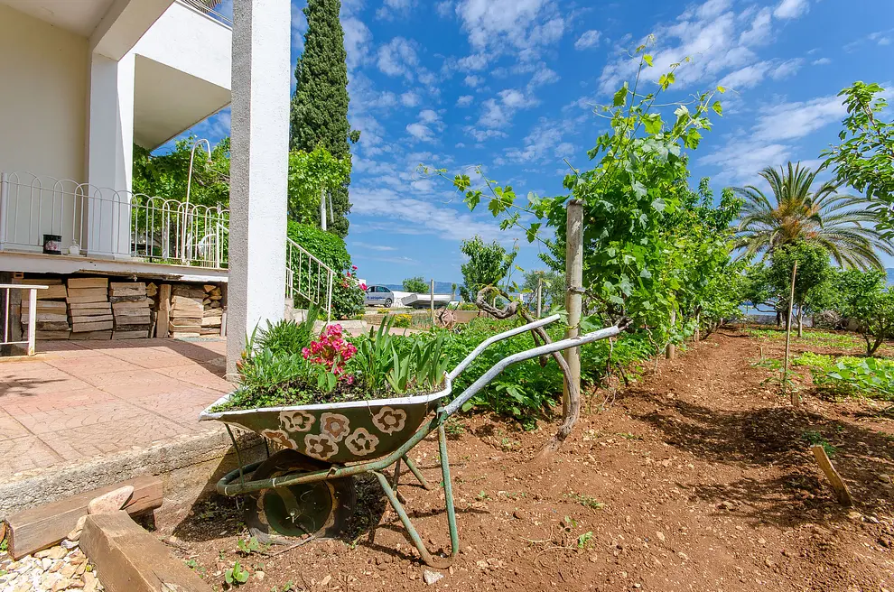 Ferienwohnung in Brac  999203383 31634 – Foto 22