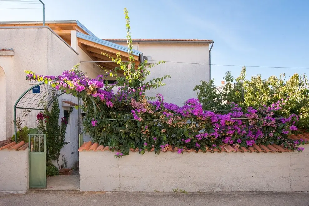 Ferienwohnung in Vodice  999202357 30664 – Foto 16