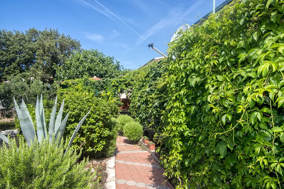 Ferienwohnung in Marina  999206431 34533