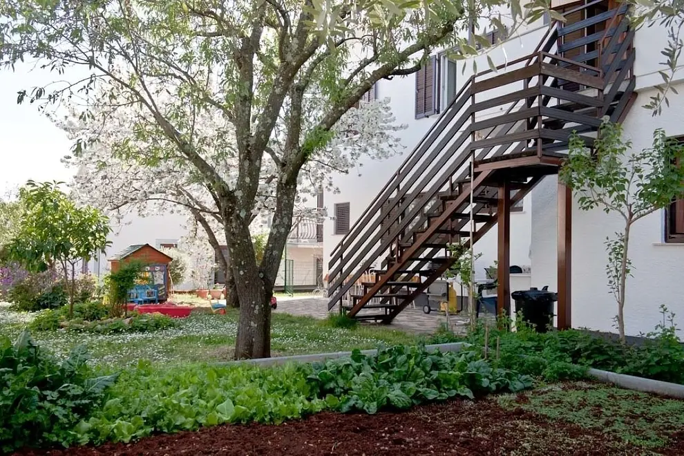 Ferienwohnung in Novigrad in Dalmatien  999209925 37820