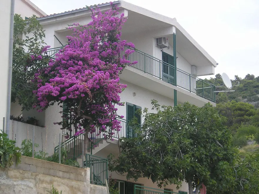 Ferienwohnung in Primosten haustiergeeignet 66152620 26446