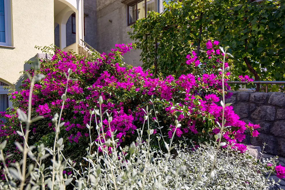 Ferienappartment in Crikvenica  999203317 31572 – Foto 12