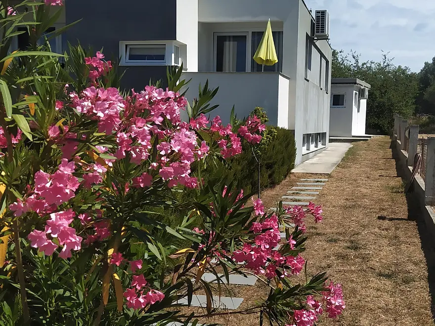 Ferienwohnung in Bibinje  999207660 35686 – Foto 10