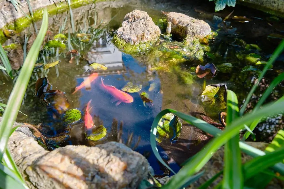 Ferienwohnung in Losinj  999213267 40792