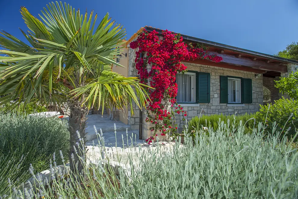 Ferienwohnung in Korcula  999210417 38279 – Foto 13