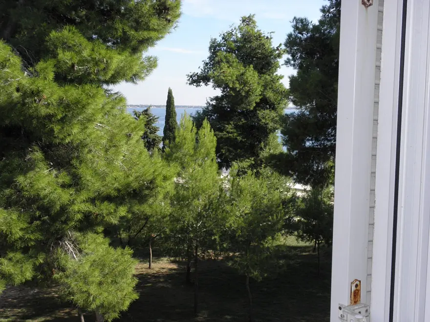 Ferienwohnung in Vir haustiergeeignet 66152362 26261