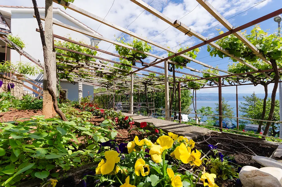 Ferienwohnung in Lovran  6619774 3127