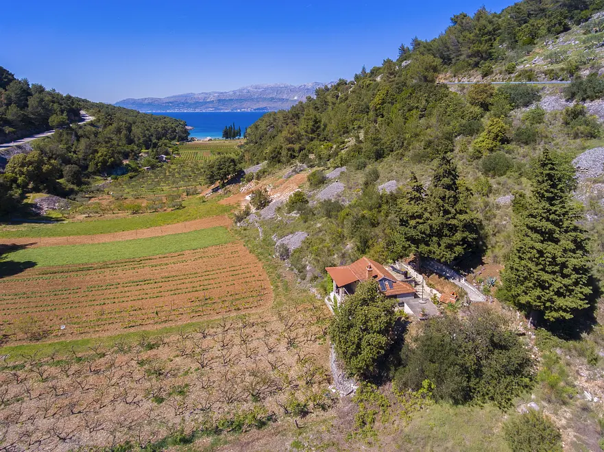 Ferienwohnung in Brac haustiergeeignet 999203098 31355 – Foto 10