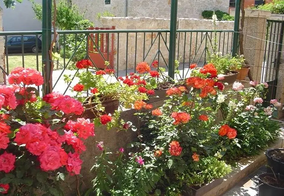 Ferienwohnung in Biograd haustiergeeignet 999207217 35283 – Foto 19