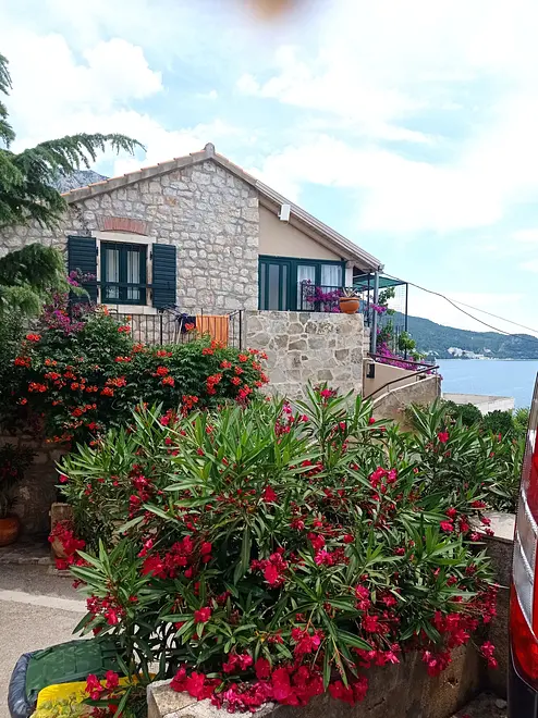 Ferienwohnung in Makarska  999202624 30900 – Foto 24