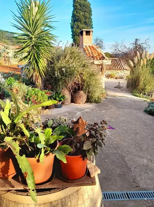 Ferienwohnung in Dugi Otok haustiergeeignet 999211540 39308 – Foto 11