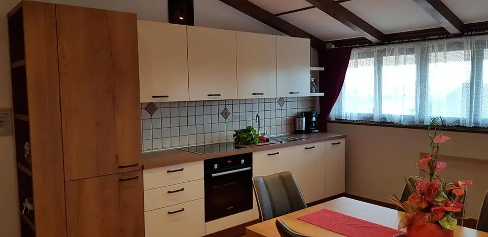 Ferienwohnung in Rovinj mit Pool 66145490 25388