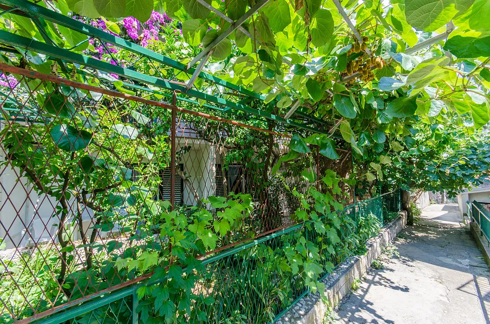 Ferienappartment in Makarska  999204397 32595 – Foto 9