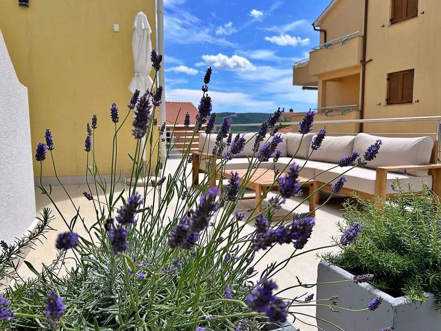 Ferienwohnung in Dobrinj haustiergeeignet 66121399 9212