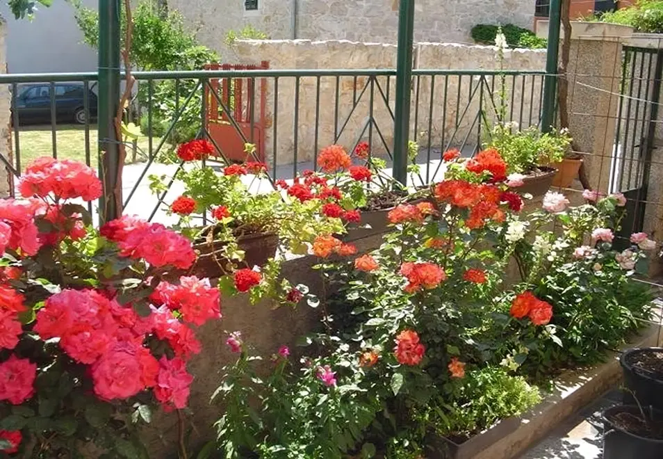 Ferienwohnung in Biograd  999207244 35307 – Foto 8
