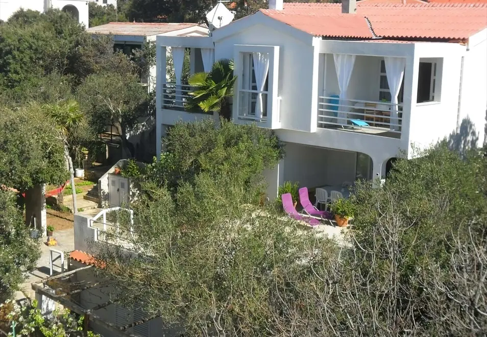 Ferienwohnung in Mandre  999213330 40853 – Foto 5