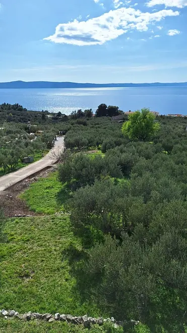 Ferienwohnung in Makarska  66153785 27346