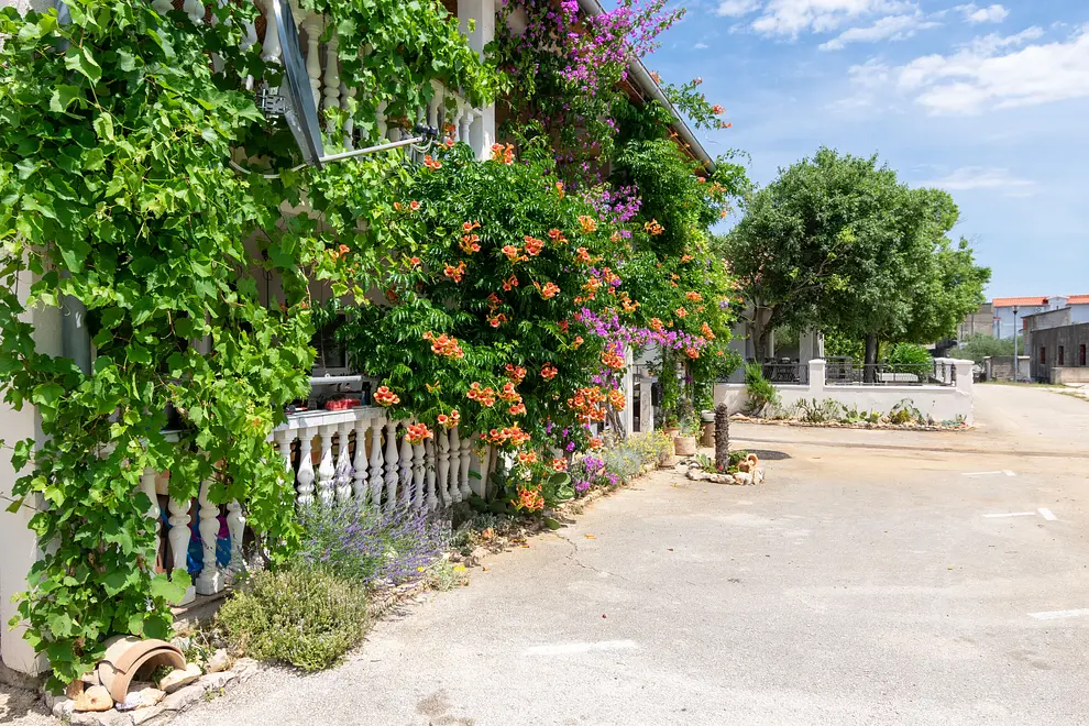 Ferienwohnung in Starigrad  999238212 43136 – Foto 18