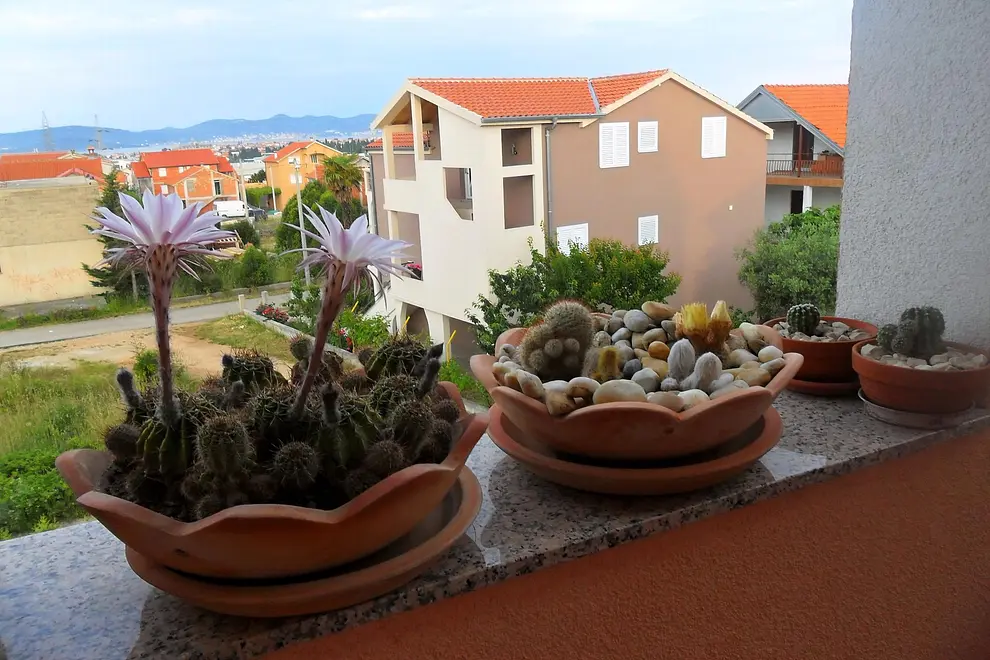 Ferienwohnung in Zadar  999212181 39866 – Foto 17