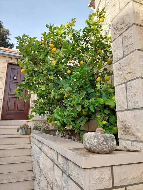 Ferienwohnung in Brac haustiergeeignet 999210851 38685 – Foto 11