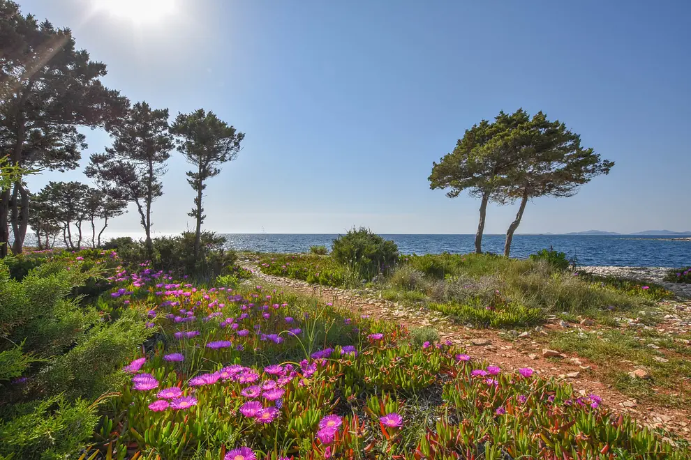 Ferienwohnung in Dugi Otok  999202562 30839 – Foto 6