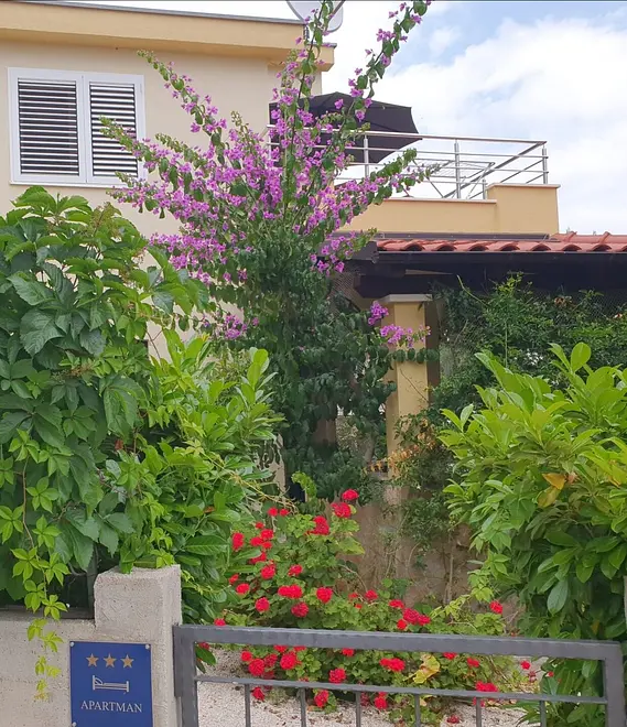 Ferienwohnung in Brac  999202571 30847 – Foto 18