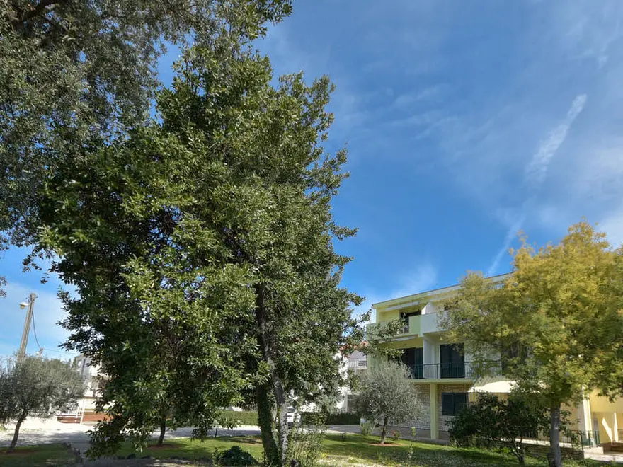 Ferienwohnung in Zadar  999203421 31670 – Foto 16