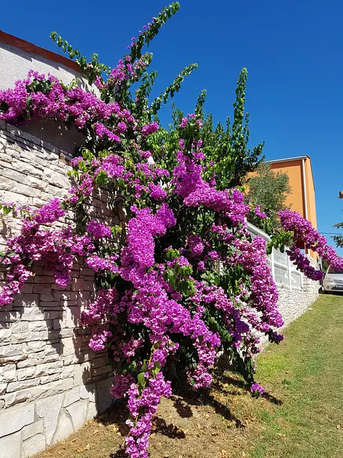 Ferienwohnung in Pula  999203594 31832 – Foto 30