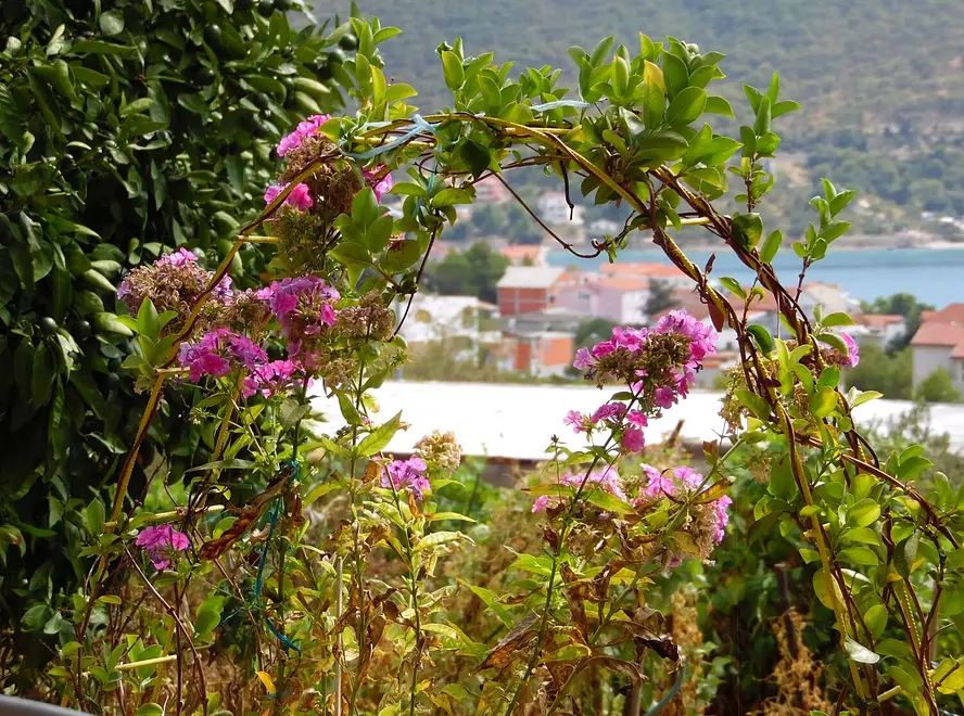 Ferienwohnung in Sibenik  999211015 38839 – Foto 12