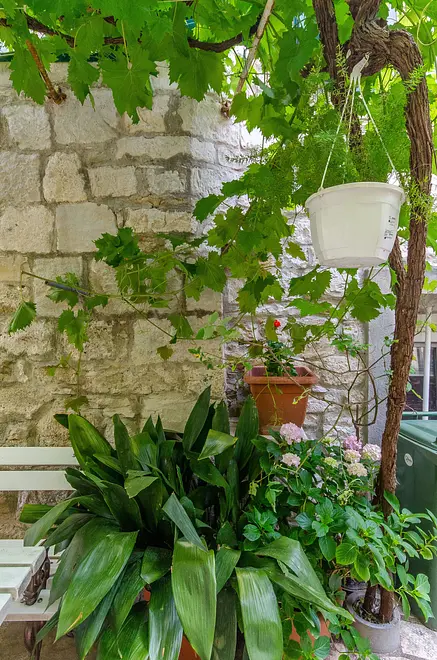 Ferienwohnung in Split  999206477 34578 – Foto 18