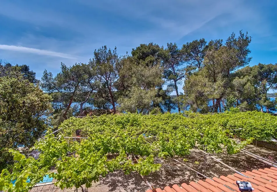 Ferienwohnung in Losinj haustiergeeignet 999210374 38236 – Foto 13