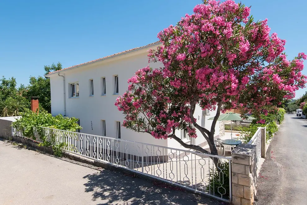 Ferienwohnung in Orebic  999205705 33843 – Foto 3