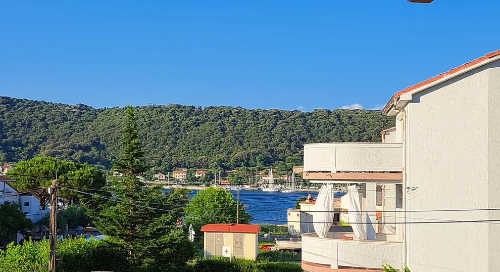 Ferienwohnung in Rab haustiergeeignet 66144369 25111