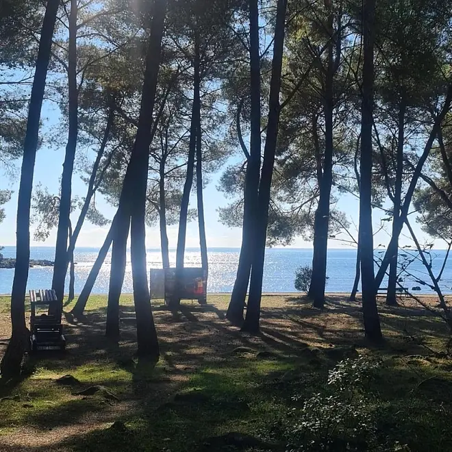 Ferienwohnung in Rovinj  999211785 39523 – Foto 7