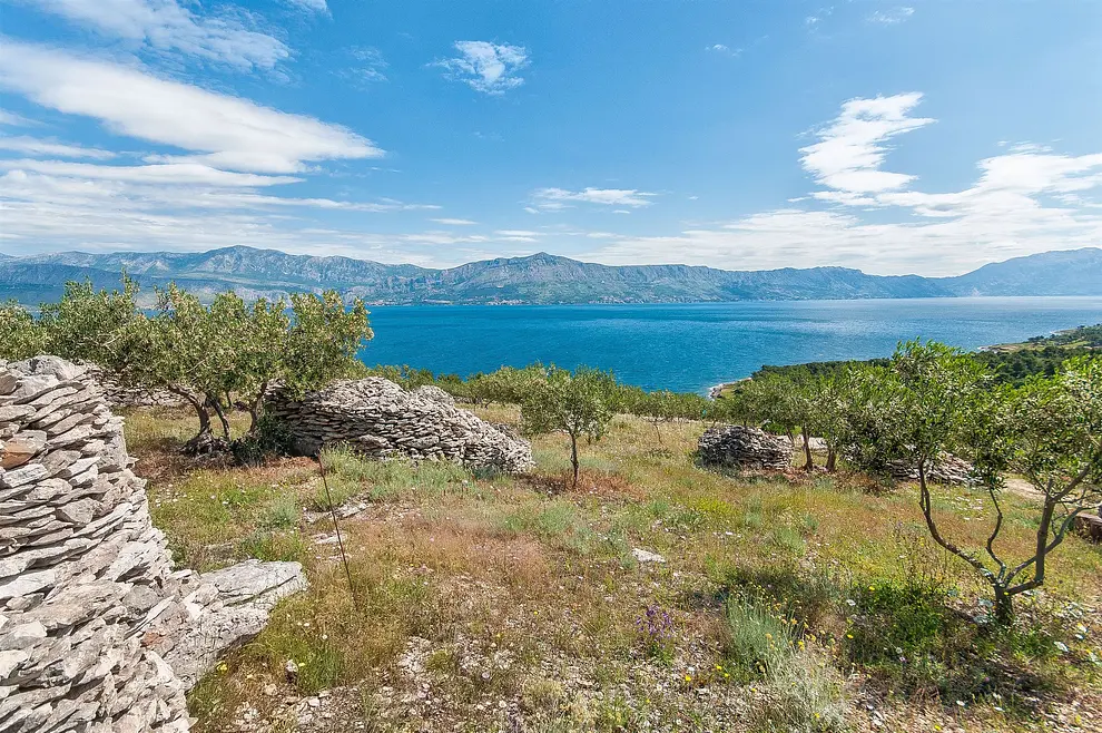 Ferienwohnung in Brac  999203081 31340 – Foto 12