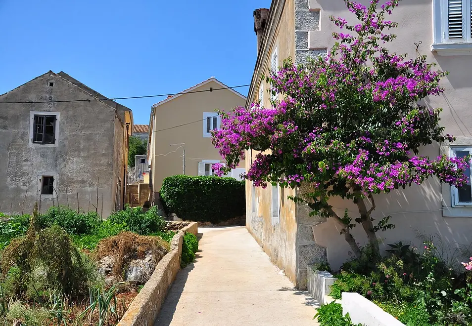 Ferienwohnung in Dugi Otok  999210942 38770 – Foto 6