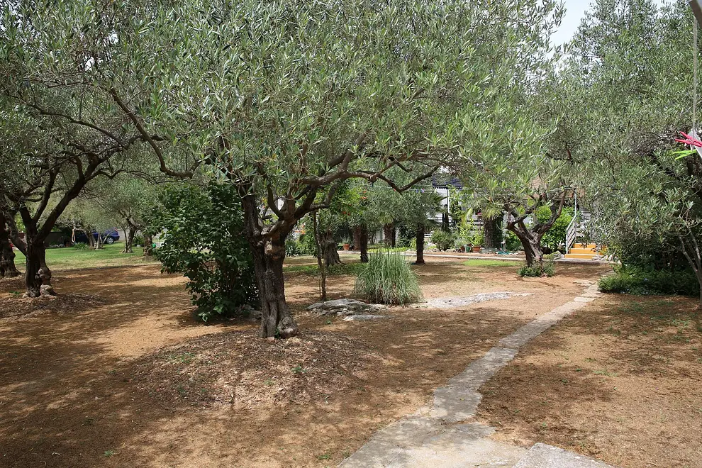 Ferienwohnung in Vodice  999213074 40614 – Foto 18