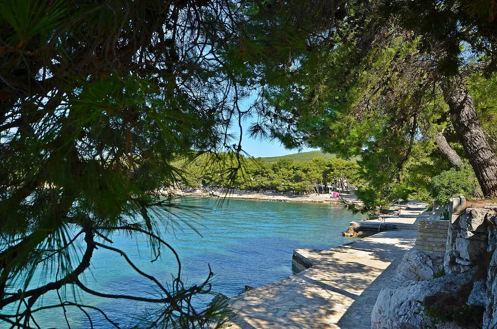 Ferienwohnung in Tribunj  6615554 1068