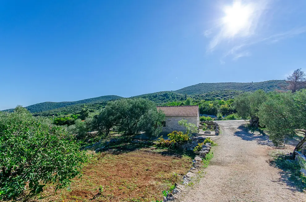 Ferienwohnung in Korcula haustiergeeignet 999204330 32534 – Foto 3
