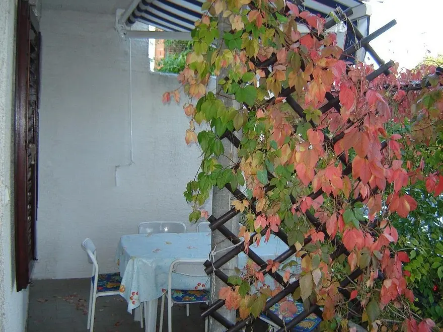 Ferienwohnung in Sukosan haustiergeeignet 66152243 26159