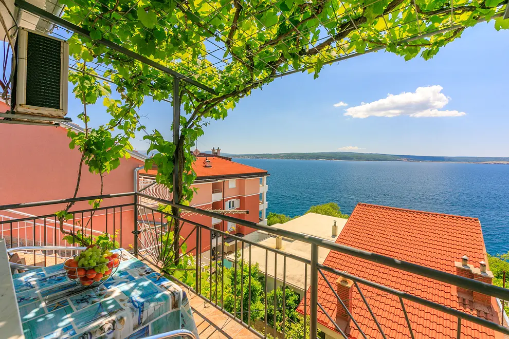 Ferienwohnung in Crikvenica haustiergeeignet 66134009 18887