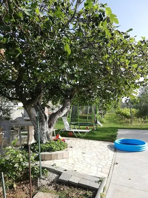 Ferienwohnung in Nin  999207515 35558 – Foto 15