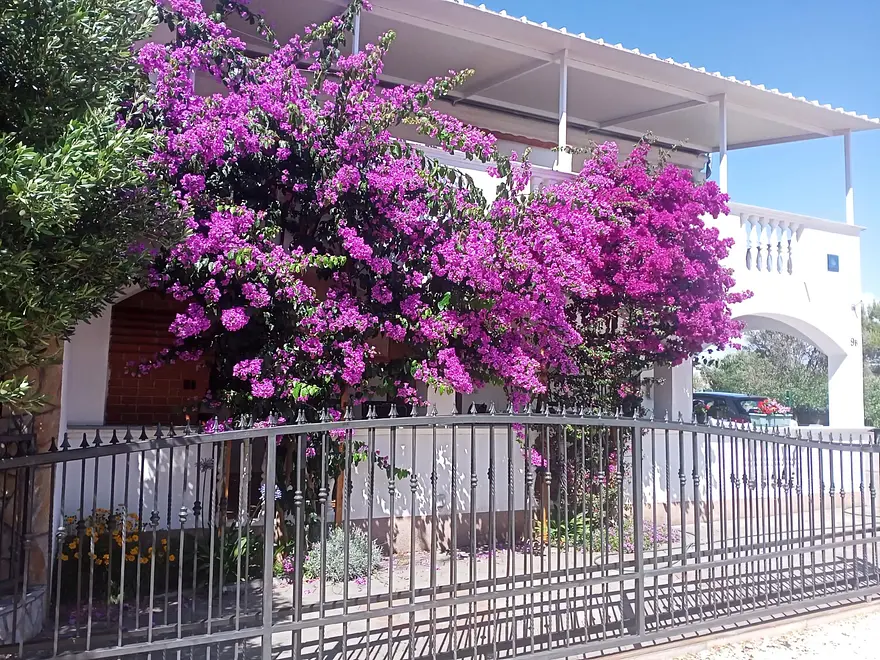 Ferienwohnung in Biograd  999211451 39224