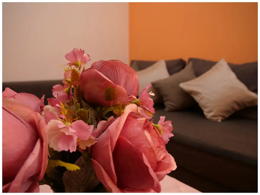 Ferienwohnung in Primosten  999206505 34606 – Foto 37