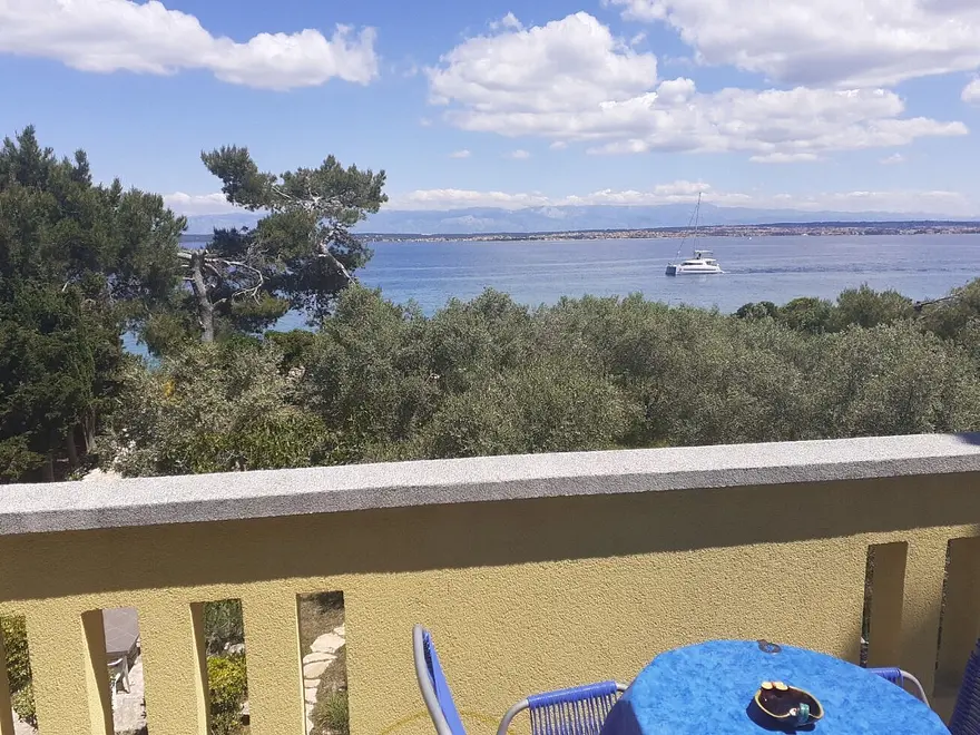 Ferienwohnung in Preko haustiergeeignet 66157065 28819