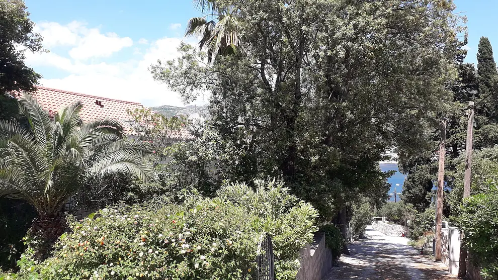 Ferienwohnung in Dubrovnik  999210938 38767 – Foto 25