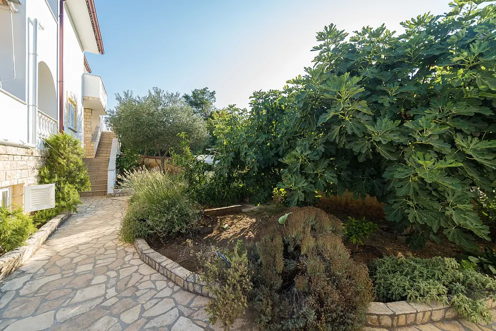 Ferienwohnung in Preko mit Pool 999212852 40416 – Foto 6